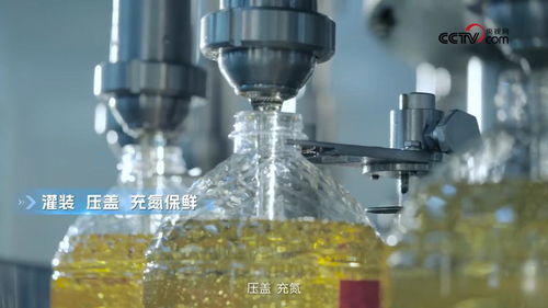 央視網走進多力安心工廠 探尋降低油煙技術專利與生物基材料研發(fā)的奧秘