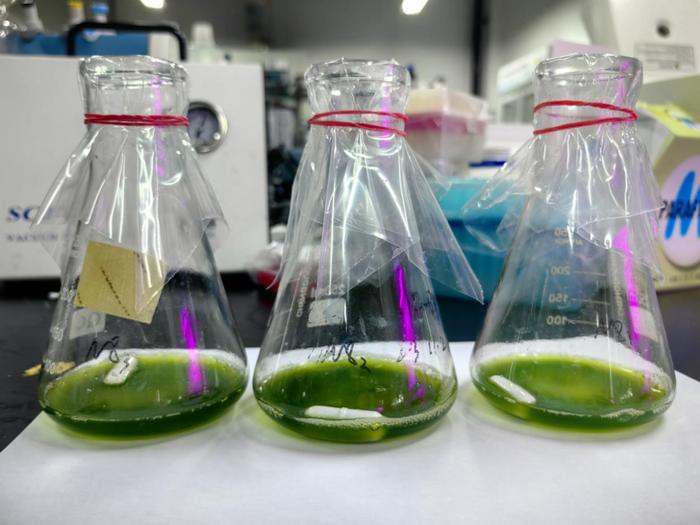 紹興上虞 科技創(chuàng)新驅(qū)動，秸稈變身高價(jià)值新材料，譜寫綠色經(jīng)濟(jì)新篇章